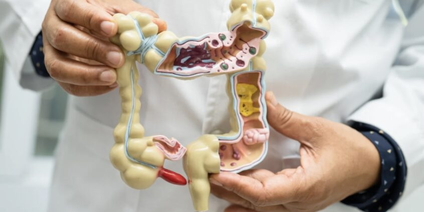 How does the gut microbiome affect your health